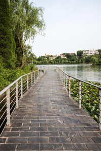 中国人 亚洲 明镜 别墅 莲花 旅行者 风景 总督府 沿着