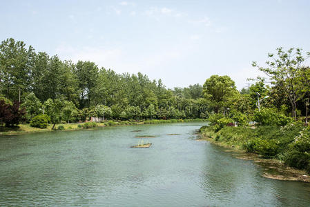 风景 植物 旅游 青绿 郁郁葱葱 倒转 亚洲 天空 中国人