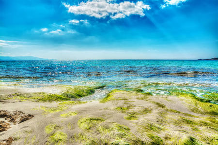 天空 海的 地中海 杂草 海滩 游泳池 柯兰德 轰炸 海洋