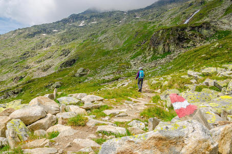 追踪 奥地利 试验 徒步旅行 夏天 岩石 旅游业 首脑会议