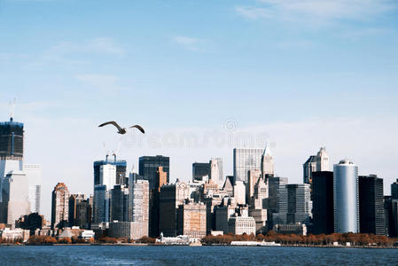 海鸥与曼哈顿南部