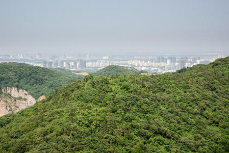 高的 妙高 天际线 亚洲 森林 建筑 旅行者 郁郁葱葱 浦口