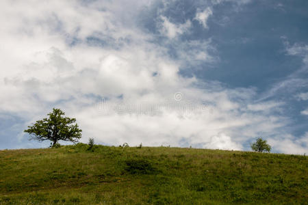 场景 春天 乡村 领域 风景 地面 植物 地平线 自然 空的