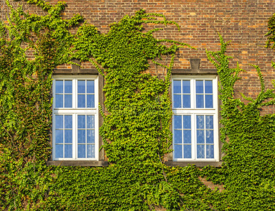 古老的 树叶 复制 城堡 小屋 英国 植物 杂草丛生 英语