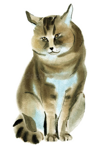 猫科动物 艺术品 猎豹 印象派 非洲 艺术 狩猎 插图 卡片