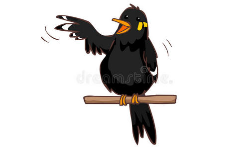 八哥插画-八哥手绘-八哥卡通图-摄图新视界