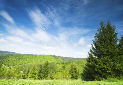 森林和草地乡村景观