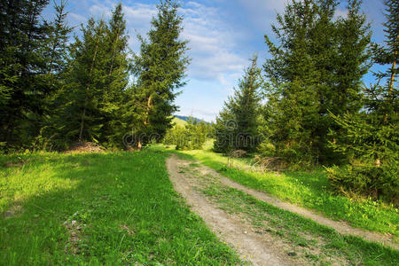 森林道路，自然山体景观与道路和树木