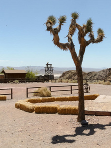 复古的 印花布 风景 过去的 沙漠 加利福尼亚 空的 古董