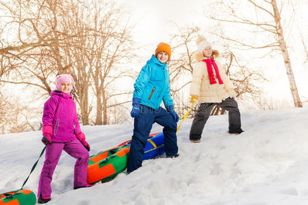 乐趣 运动 白种人 圣诞节 森林 季节 假日 外部 雪橇