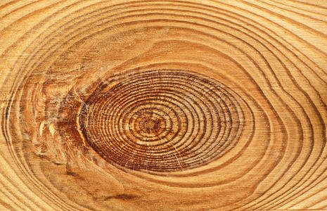 空的 古老的 木板 指甲 材料 特写镜头 外部 咕哝 自然