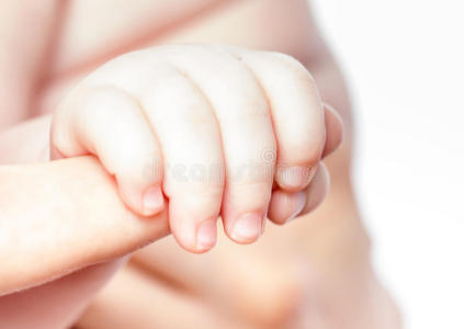 婴儿的手握住母亲的手指