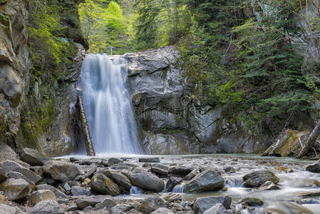 落下 美丽的 自然 小溪 岩石 场景 放松 颜色 瀑布 森林