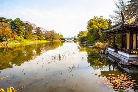 水库 风景 春天 城市 自然 银行 水路 旅游业 闲暇 花园