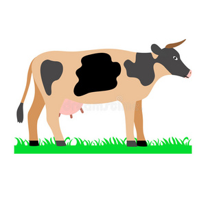 奶牛在绿色田野插图