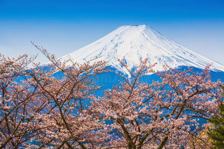 日本人 樱花 寒冷的 自然 日本 封顶 亚洲 陨石坑 天空