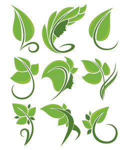 布局 环境 生物学 要素 森林 花的 插图 植物区系 树叶