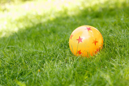 彩色橡胶球躺在草地上