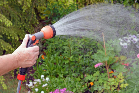 季节 花园 稀缺 照顾 灌溉 园艺 潮湿 洒水器 工作 软管