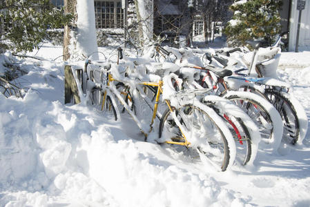 几辆自行车在一个覆盖着雪的架子上