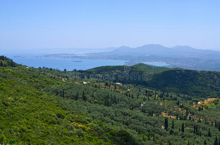 旅行 橄榄 欧洲 森林 自然 免除 海湾 希腊语 房子 海洋