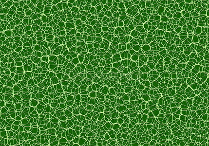 新毛细管绿色卷曲线条背景的抽象网照片