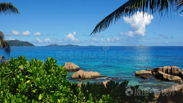 旅游业 旅游 孤独 海洋 自然 放松 天堂 植物 热带 海报