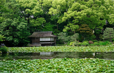 日本 亚洲 建筑学 城市 平安 日本人 和谐 佛教 文化