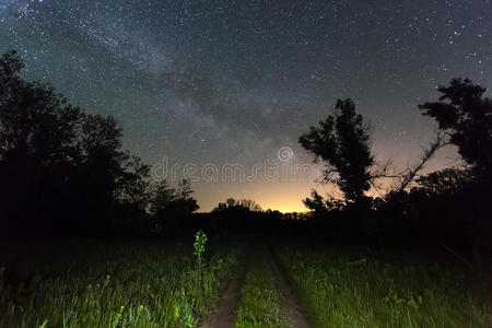 风景 天文学 森林 自然 草地 童子军 外星人 探索 科学