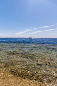 自然 海岸 海湾 美女 埃及 岩石 太阳 假日 酒店 海滩