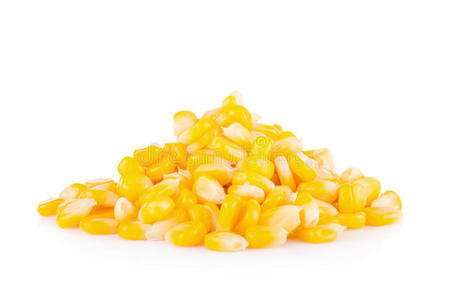 粮食 农业 营养 特写镜头 健康 玉米 收获 玉米芯 食物