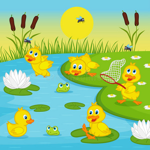 普通话小鸭子图片