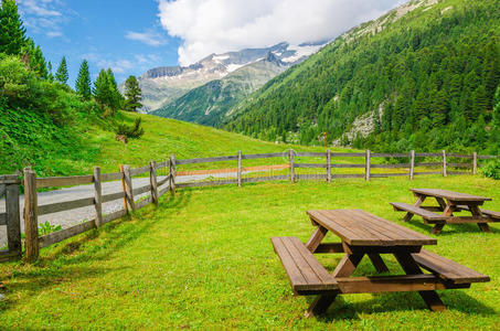 春天 假日 自然 放松 领域 意大利 夏天 小山 美丽的