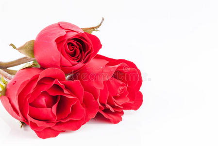 一束美丽的红玫瑰