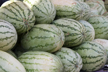 印度果阿市场柜台上新鲜多汁的西瓜