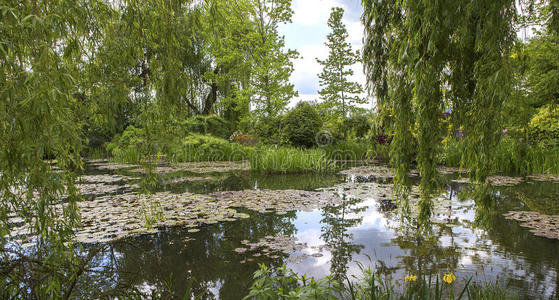 生态系统 河道 树林 生物群系 花园 银行 风景 湿地 国家