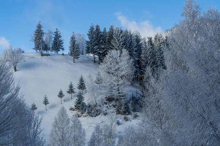 森林 冬天 全景图 滑雪 太阳 风景 薄雾 阳光 天空 美丽的