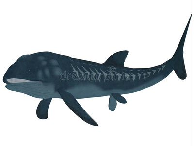 海的 生活 海洋 水下 脊椎动物 有机体 侏罗纪 形象 中生代