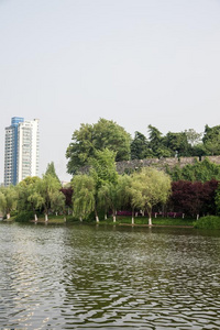 风景 城市 古老的 植物区系 防御 中国人 南京 亚洲 外部