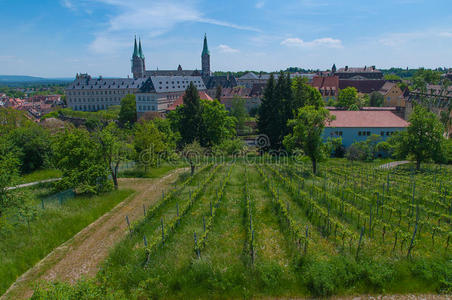 葡萄 国家 德语 自然 农场 农业 食物 城市景观 风景