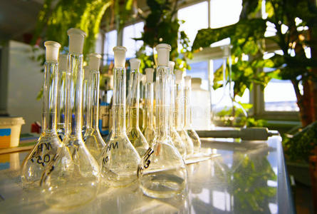 玻璃器皿 研究 玻璃 生物化学 医疗保健 行业 反射 烧杯