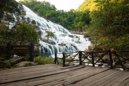 自然 春天 岩石 美女 瀑布 美丽的 风景 泰国 森林 公园