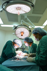 手术室兽医手术组