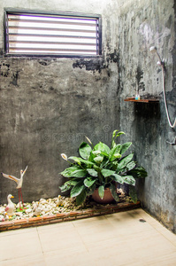 浴室房间巴厘岛风格