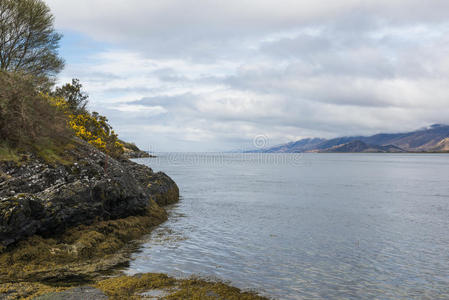 海藻 涟漪 美女 科兰 岩石 假期 旅行 空气 天空 美丽的
