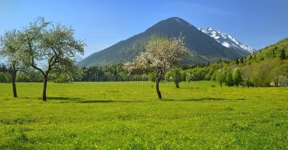 高加索山谷