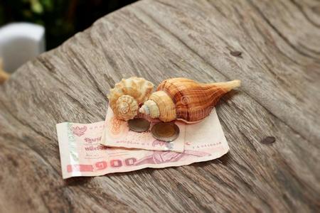 货币 接触 泰国 木材 定居点 硬币 贝壳 通信 聊天