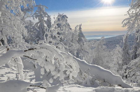 冬季雪景