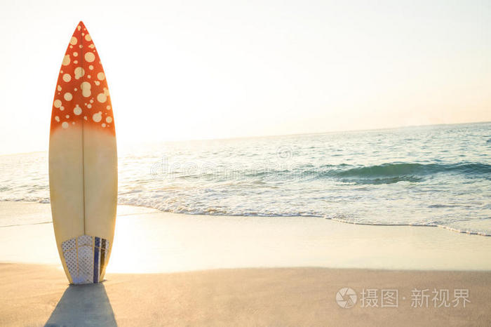 海岸线 运动 乐趣 夏天 冲浪 假日 温暖的 夏季 假期