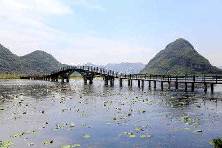 反射 池塘 美丽的 湖景 自然 旅行 乡村 海岸 领域 黄昏